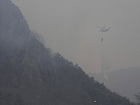 Полиция задержала предполагаемого виновника крупнейших лесных пожаров в истории Южной Кореи