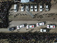 Международный комитет Красного Креста: 