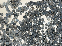 В Иерихоне задержаны супруги, в доме которых нашли сотни птиц и тысячи старинных серебряных монет