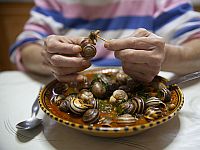 В Тунисе улитки заменяют красное мясо, люди переходят на более дешевый белок