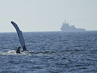 Президент Ирана уволил своего заместителя за то, что тот провел отпуск на Южном полюсе