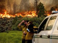 Израильские ученые разработали ИИ-модель, предсказывающую лесные пожары, вызванные молнией