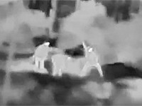 ЦАХАЛ сообщил о ликвидации в Самарии камнеметателя и ранении двух его сообщников. Видео