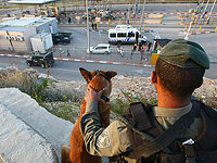 Перед Песахом ЦАХАЛ и полиция усиливают меры безопасности. История 