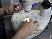 Исследователи выяснили, почему пластик выделяет опасные микрочастицы