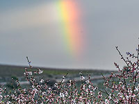 Самым дождливым районом в минувшую ночь была Самария