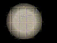 Стартап объявил о проведении первой в мире