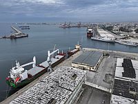 В Сирию пришел первый после свержения Асада корабль с зерном