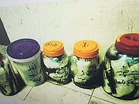 Предъявлены обвинения брату террориста, заминировавшего автобусы в Бат-Яме и Холоне