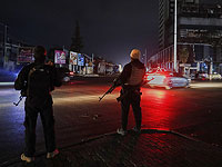 Новые власти Сирии арестовали лидеров палестинского 