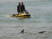 Подтверждена личность погибшего в результате нападения акулы около Хадеры