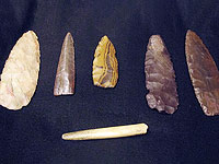 Люди каменного века в Леванте 8000 лет назад занялись земледелием от безысходности