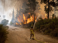 Пожары в Израиле на фоне сухой и жаркой погоды. Фоторепортаж