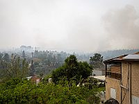 Жителям эвакуированных из-за пожара районов разрешили вернуться домой