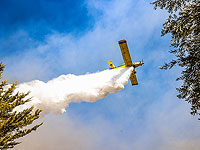 Новый пожар возле шоссе номер 1, на место направлены самолеты пожарной авиации