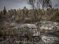 После 30 часов борьбы достигнут полный контроль над всеми зонами пожара