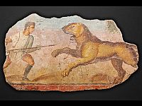 Новое исследование показало, что укус льва, вероятно, привел к гибели гладиатора