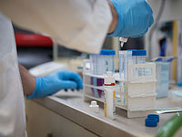 Пересадка кишечных микробов может облегчить хронические боли