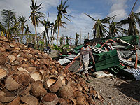 Мировые цены на кокосы выросли в 2,5 раза за три месяца