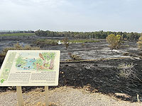 В результате пожара был полностью уничтожен заповедник около Реховота