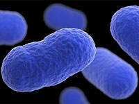 Ученые нашли молекулярный центр, который управляет атакой бактерий