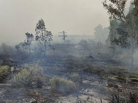 Лесной пожар к северу от Бейт-Шемеша: проводятся эвакуации, перекрыты трассы