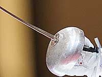 Демарш швейцарских фехтовальщиков: это не политическое заявление