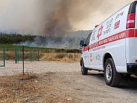 Лесные пожары: проводится эвакуация в Неве-Шаломе и Латруне, перекрыты 1 и 3 трассы