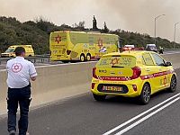 МАДА сообщает о десятках пострадавших в результате лесных пожаров в Иерусалимских холмах