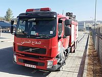 ПА предложила Израилю помощь в тушении лесных пожаров