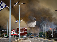 Лесные пожары в Израиле. Фоторепортаж