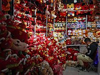 Мягкие игрушки содержат в два раза больше микробов, чем среднестатистическое сиденье унитаза