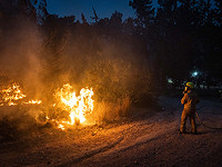 Продолжается борьба с лесными пожарами. Жителям двух эвакуированных поселков разрешено вернуться