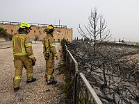 Начато расследование обстоятельств возникновения пожаров в Иудейских горах