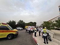 Несколько пострадавших от лесных пожаров остаются в больнице