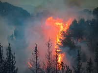 Раввин Гидеон Бен-Моше: причина пожаров – несоблюдение двух обычаев