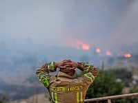 Итоги лесных пожаров: выгорели 20 тысяч дунамов, ни одного погибшего