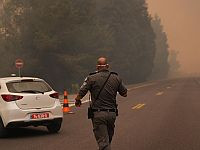Экспонаты выставки бронетехники в Латруне почти не пострадали от огня