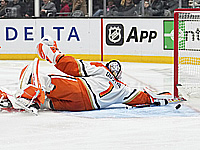 Достижения Копитара, Хеллебайка и Ланкинена. Результаты матчей НХЛ