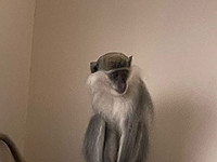 Полиция спасла 30-ю