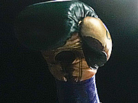 Бокс. Израильтянин Ян Зак победил нокаутом в Дубае