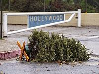 Трамп вводит 100% пошлины на иностранное кино 