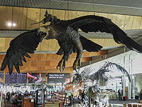 Аэропорт Новой Зеландии уберет скульптуры орлов в стиле 