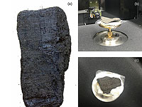 Рентген помог установить автора древнегреческого свитка, обугленного при извержении Везувия