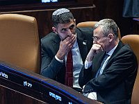 Правительство возобновило обсуждение изменений Закона о Возвращении