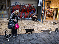 Ученые проанализировали отношение израильтян к свободно гуляющим кошкам