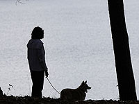 Отец и сын из Петах-Тиквы напали на соседку и грозились убить ее собаку