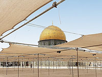 Задержаны девять человек, пытавшихся прорваться на Храмовую гору. В сумке одного из них был козленок