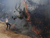 На севере Сирии бушуют лесные пожары
