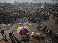 Продовольственная организация ООН: Газе грозят голод, крах сельского хозяйства и эпидемии